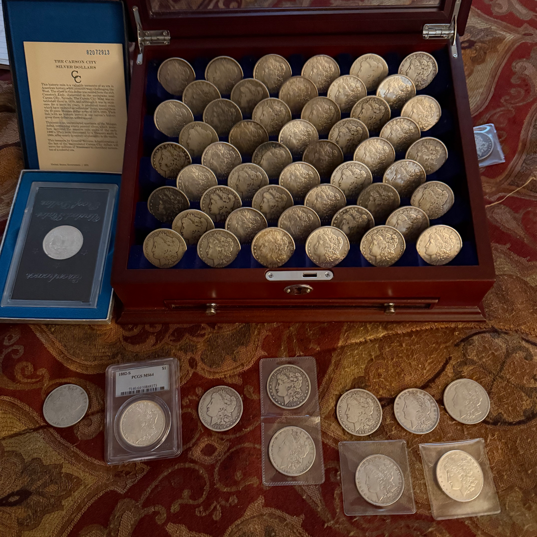Morgan dollar collection