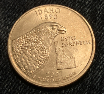 1995 quarter