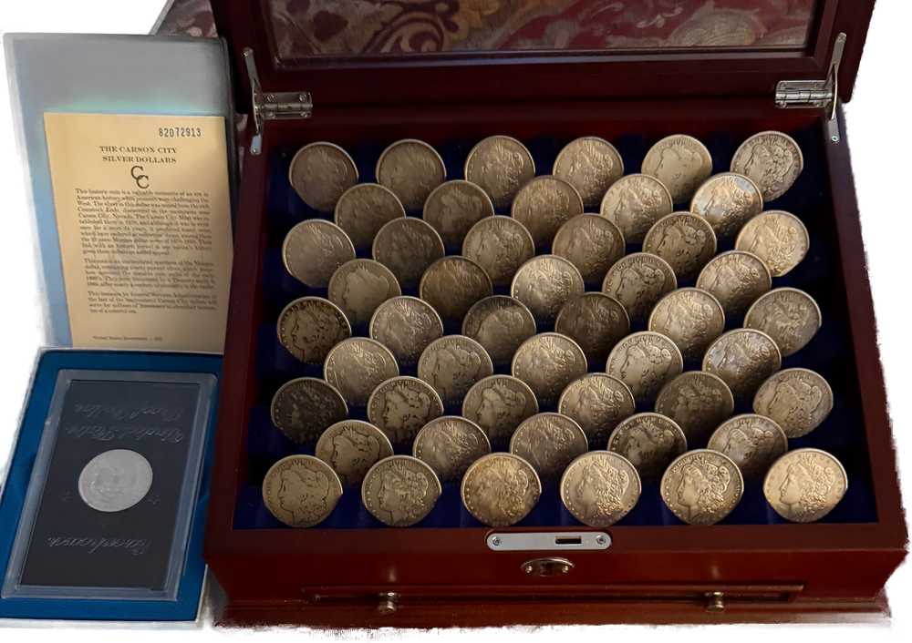 Morgan dollar collection